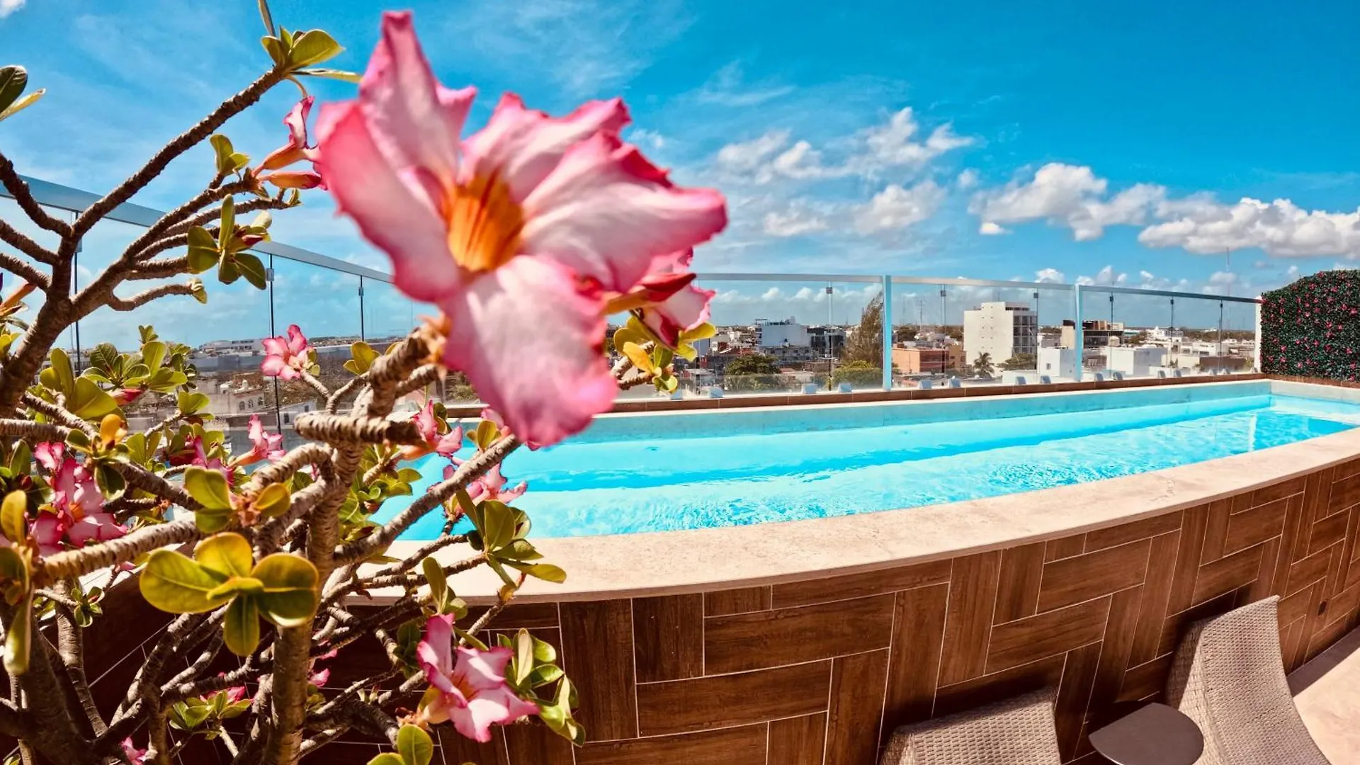 Studios With Roofpool In Vanessa 24 Playa del Carmen México
